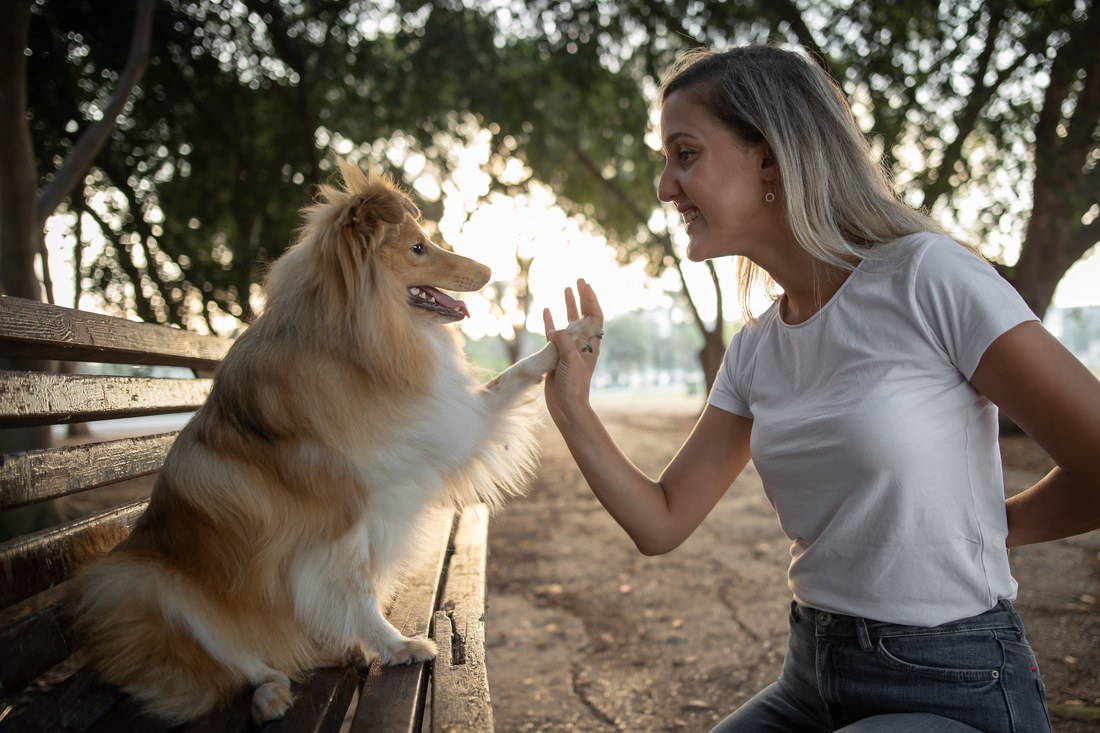 A student cueing her dog, the dog lifting a paw to her hand.
